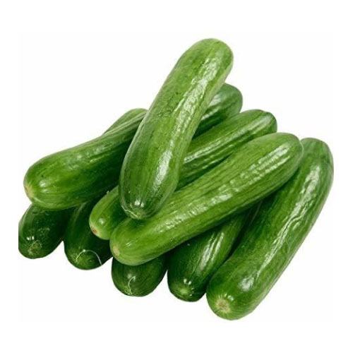 Cucumber